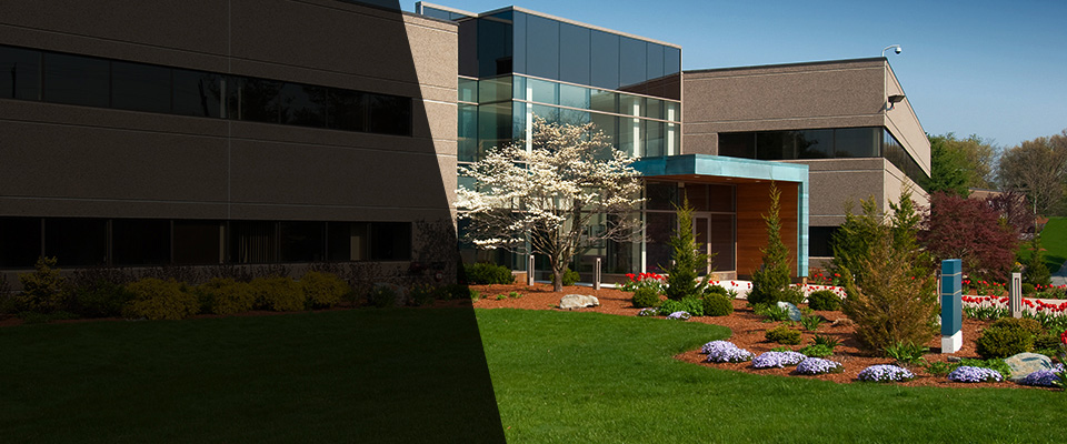 Mercer Island Landscapers