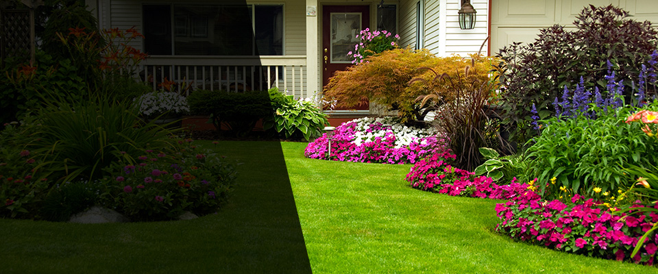 Mercer Island Landscapers