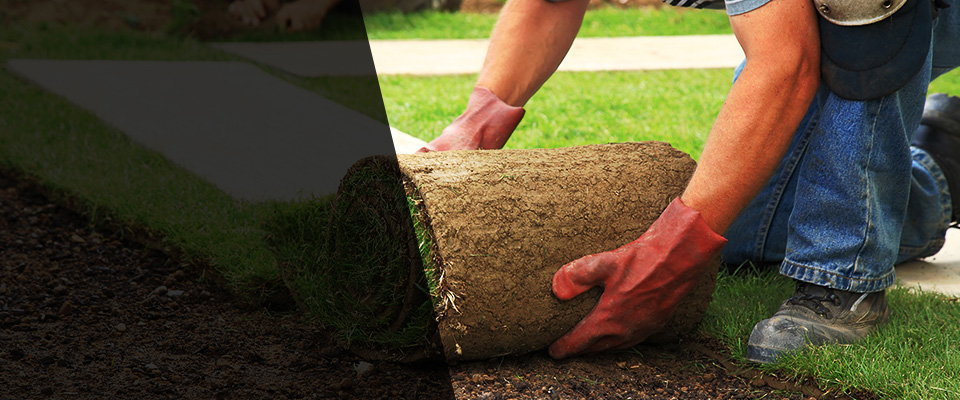 Mercer Island Landscapers